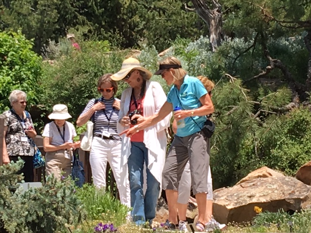 Betty Ford Alpine Gardens Tour