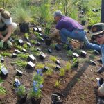 Volunteers in the Gardens