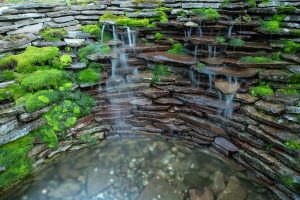 Betty Ford Alpine Gardens Ford Waterfall