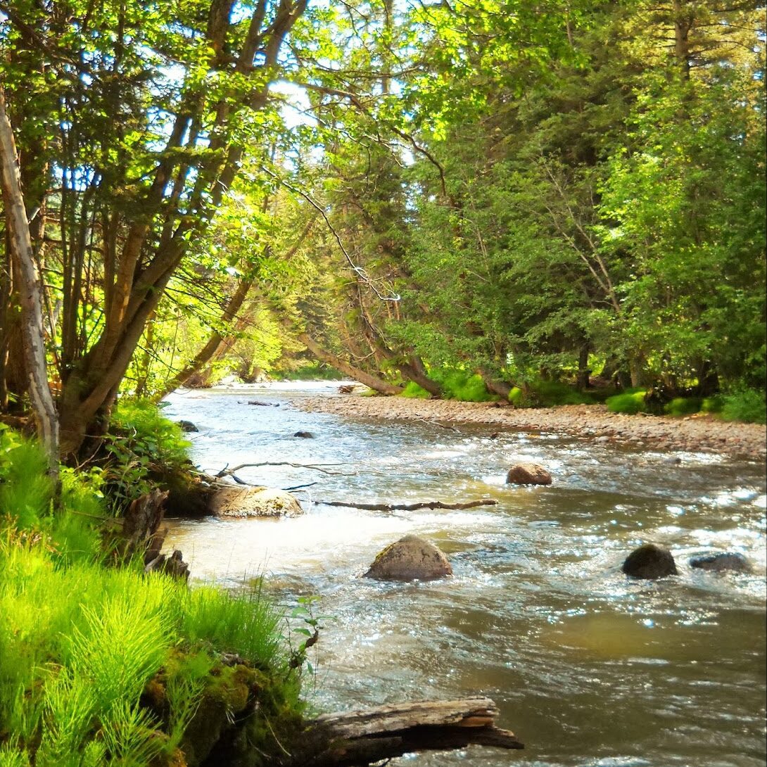 H2O = Life - Betty Ford Alpine Gardens