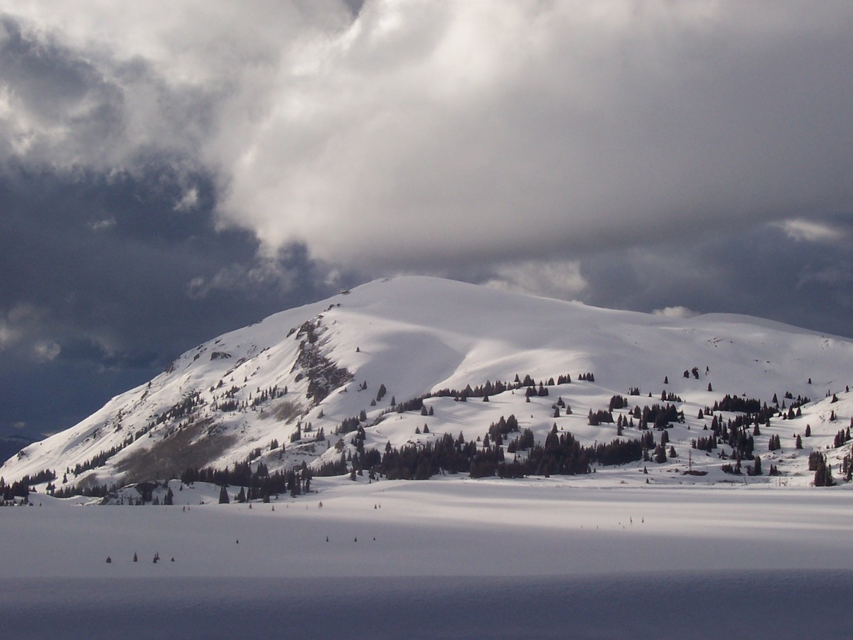 Storm over Sheep Mountain in Climax CO - Betty Ford Alpine Gardens