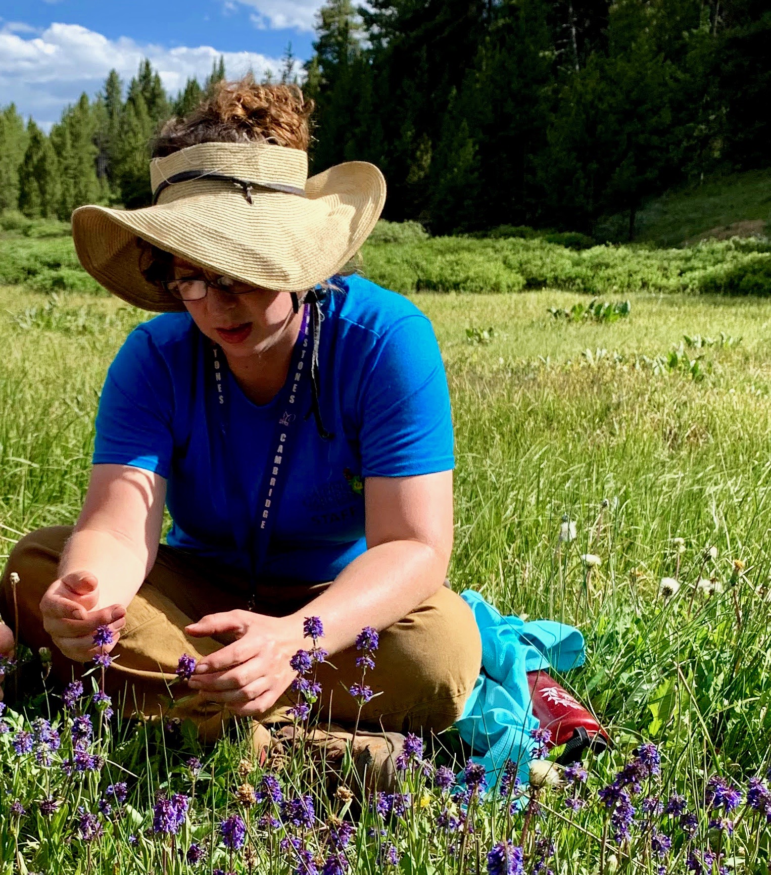 Intern in the field for Betty Ford Alpine Gardens