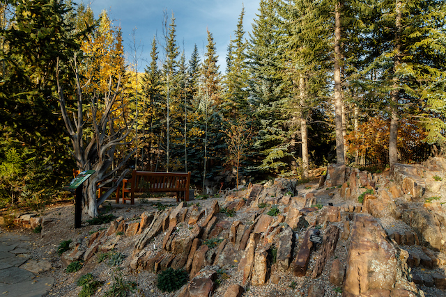 Bench and rocks - Betty Ford Alpine Gardens