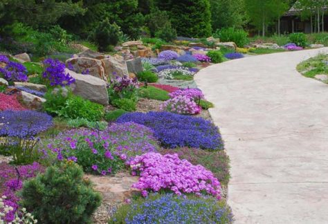 Crevice Garden - Betty Ford Alpine Gardens