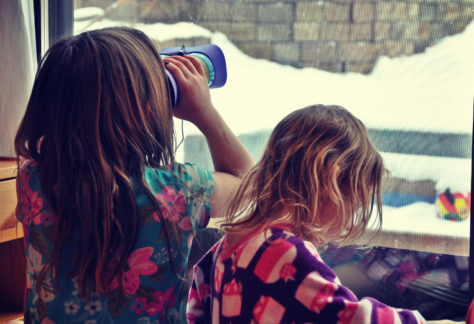 Indoor Bird Watching - Betty Ford Alpine Gardens