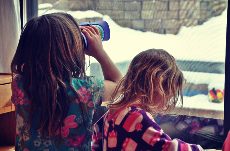 Indoor Bird Watching - Betty Ford Alpine Gardens