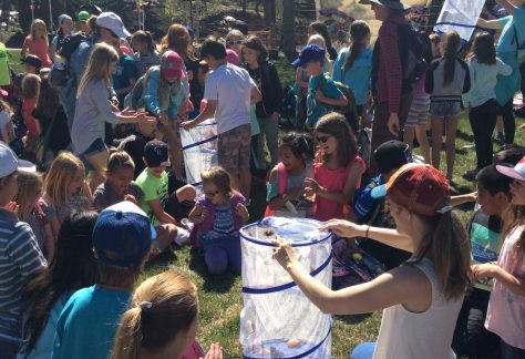 Butterfly Release - Betty Ford Alpine Gardens