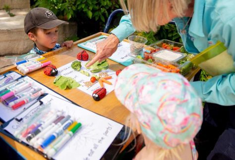 Children Activities - Betty Ford Alpine Gardens