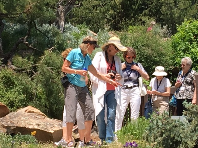 Garden Tour - Betty Ford Alpine Gardens