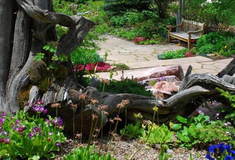 Tribute and Memory Gifts at Betty Ford Alpine Gardens