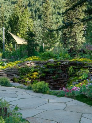 Ford Waterfall - Betty Ford Alpine Gardens