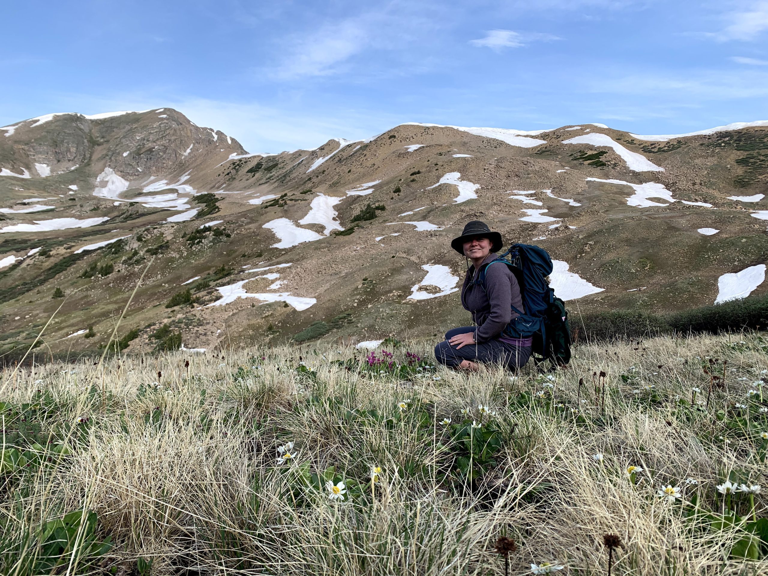 Emma, our 2021 Conservation Intern, botanizes with snow patches in background - Betty Ford Alpine Gardens