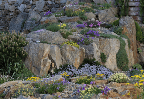 Crevice Garden - Betty Ford Alpine Gardens