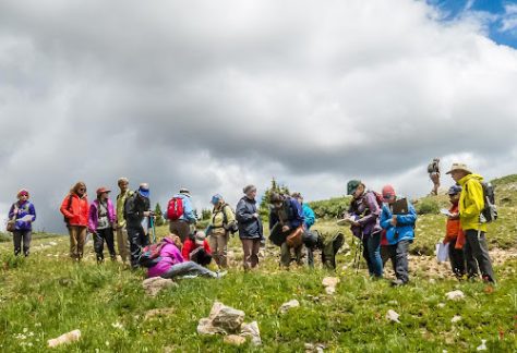 Montane Plant Class - Betty Ford Alpine Gardens
