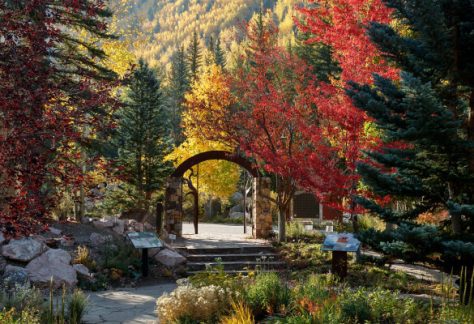 Gateway in fall with leaves of red and yellow - Betty Ford Alpine Gardens