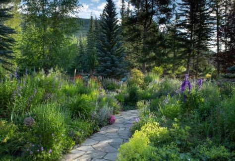 Flowers and trees along walkway - Betty Ford Alpine Gardens