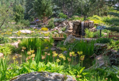 View of the gardens and water - Betty Ford Alpine Gardens