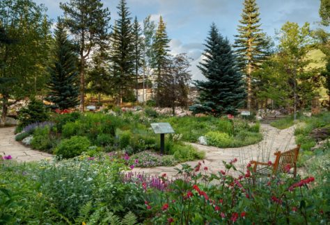 View of the gardens - Betty Ford Alpine Gardens