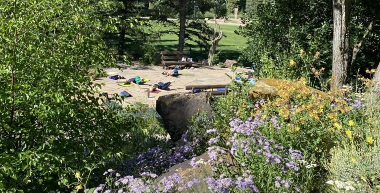 Yoga in the Gardens