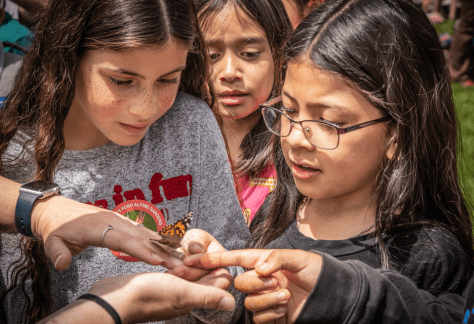 Betty Ford Alpine Gardens: Butterfly Launch