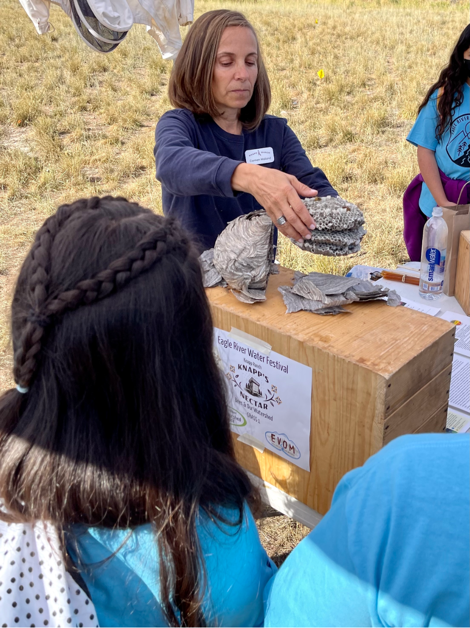 Betty Ford Alpine Gardens: Pollinator Workshop