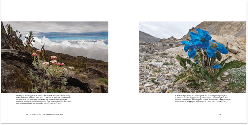 On The Roof of the Rocky Mountains - book spread - Betty Ford Alpine Gardens