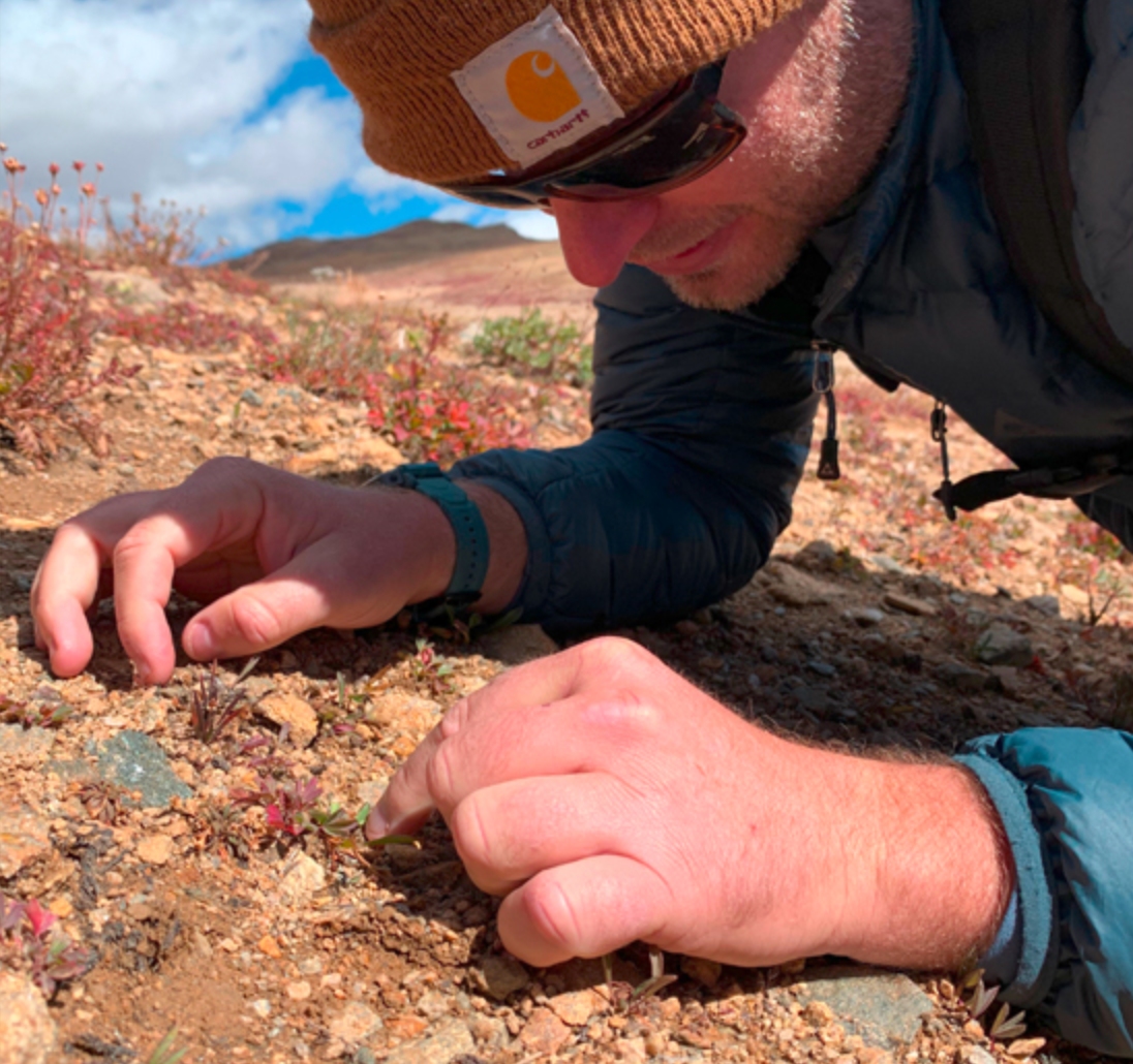 Betty Ford Alpine Gardens Seed Preservation