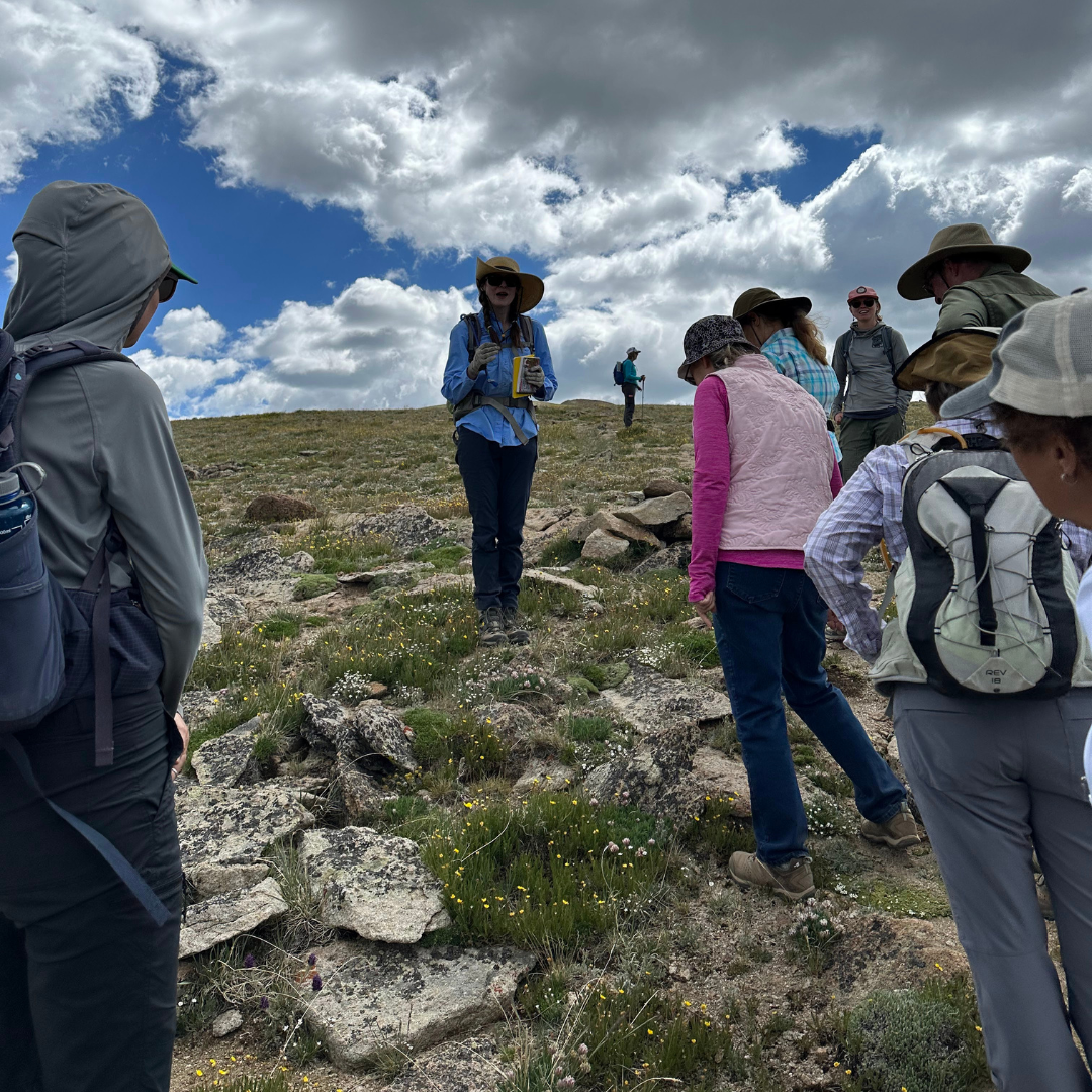 Betty Ford Alpine Gardens - CO Alpine EcoFlora Project Guided Hike
