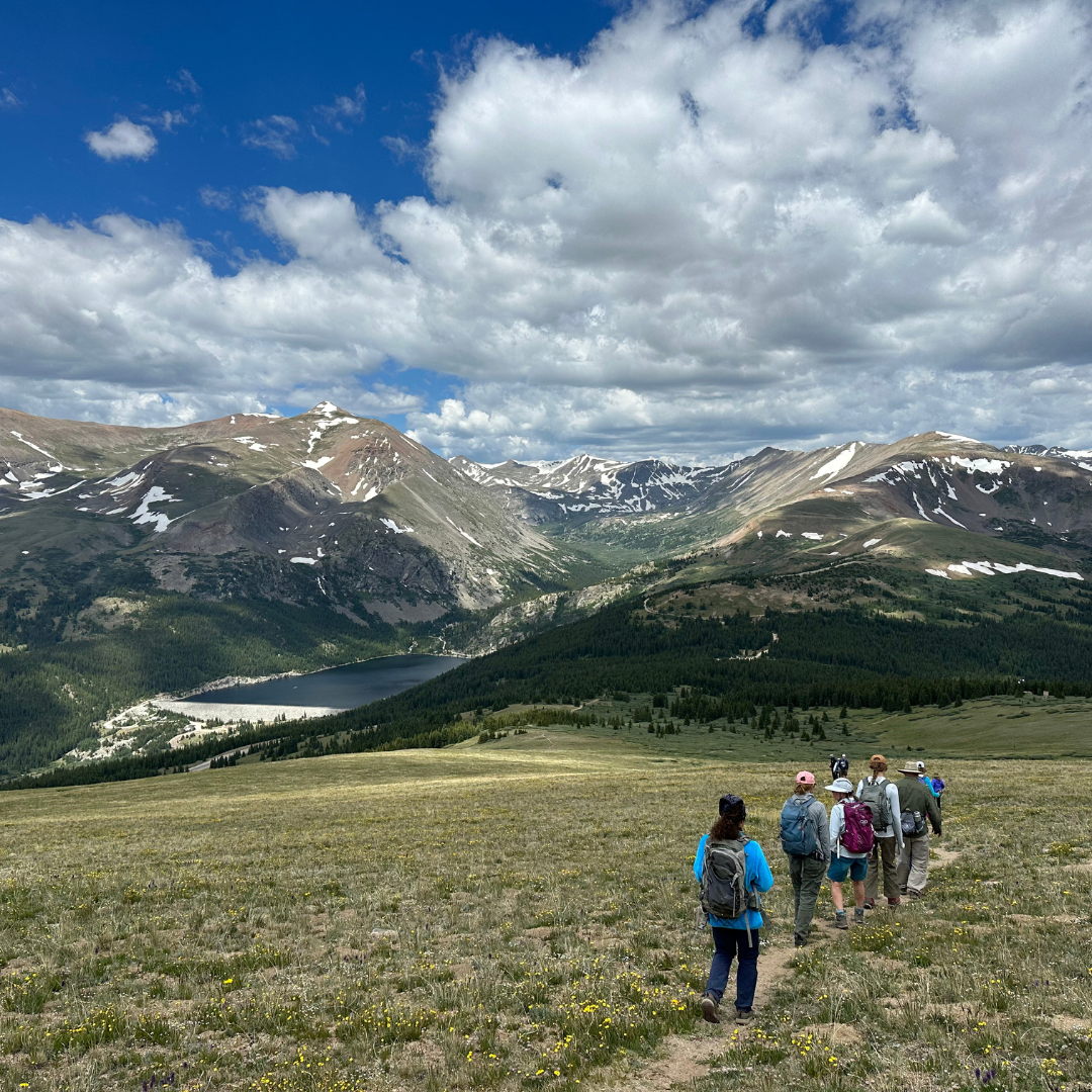 Betty Ford Alpine Gardens - CO Alpine EcoFlora Project Hike in Mosquito Range