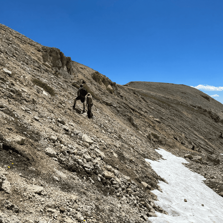 Betty Ford Alpine Gardens Team in Shoshone National Forrest to Collect Rare Plants
