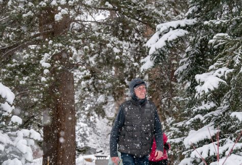 Snowshoe in Ford Park