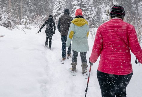 Group snowshoe in Ford Park