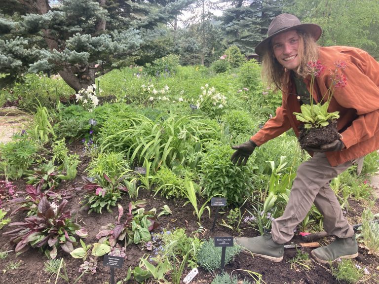 Tate planting Bijou's garden