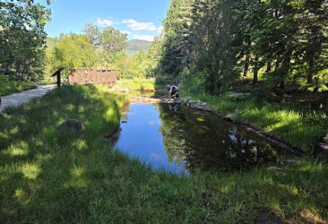 Pond2