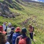 Colorado Alpine Ecoflora Project Hike Guided Image