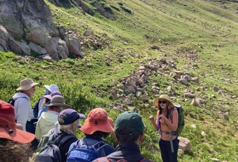 Colorado Alpine Ecoflora Project Hike Guided Image