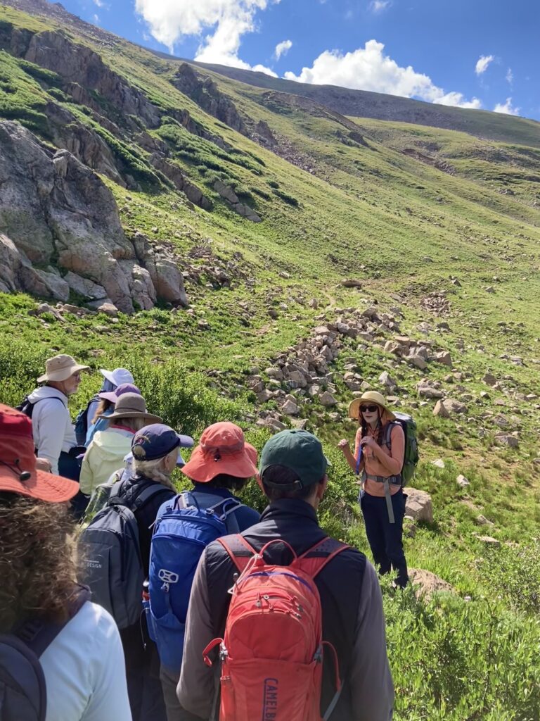 Colorado Alpine Ecoflora Project Hike Guided Image