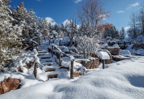 Snow in the Gardens
