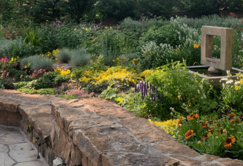 Drought tolerant alpine garden plants at Betty Ford Alpine Gardens Vail Colorado