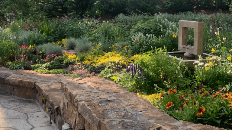 Drought tolerant alpine garden plants at Betty Ford Alpine Gardens Vail Colorado