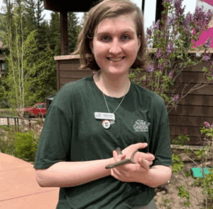 education intern