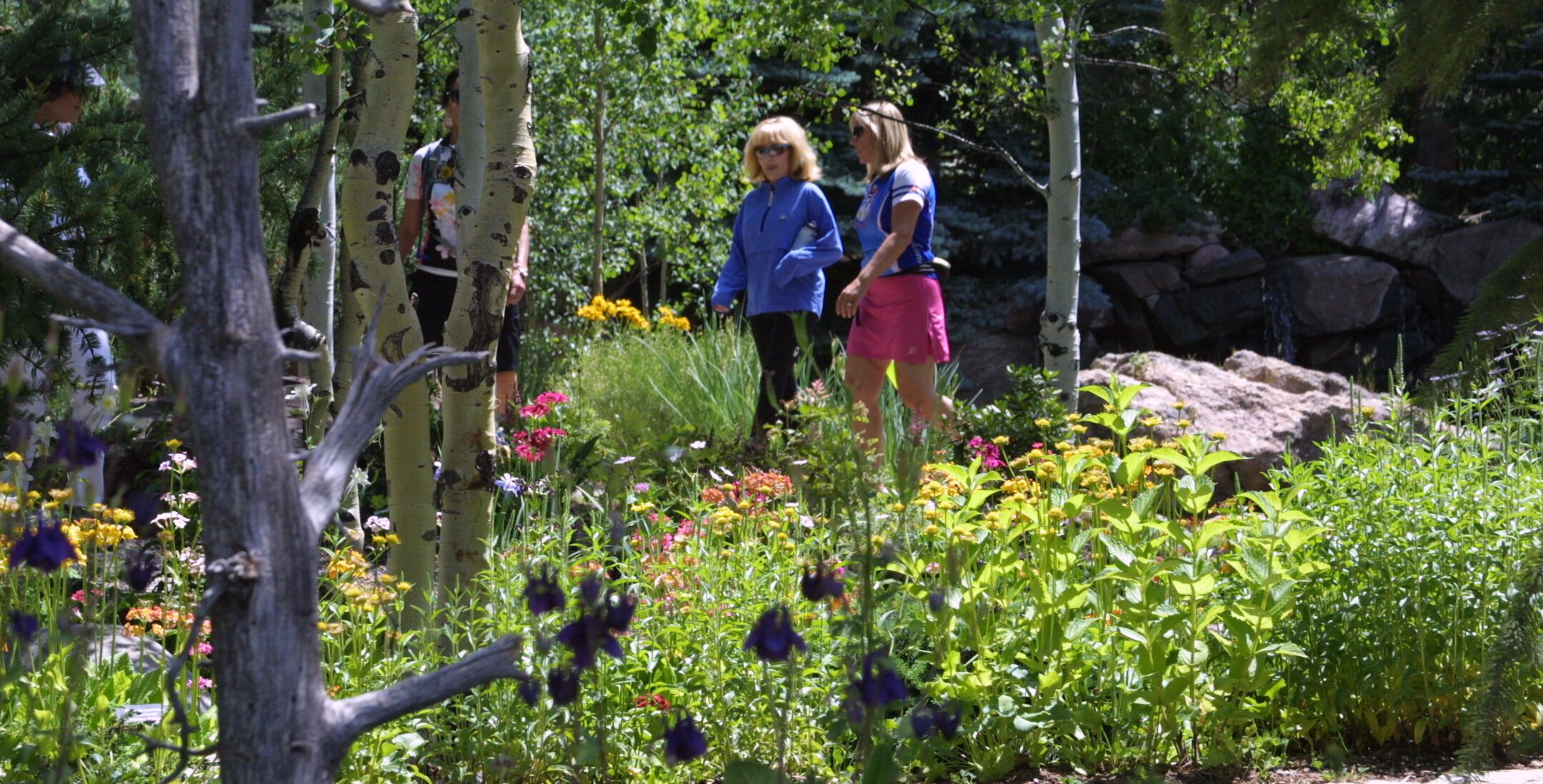 walking in the meditation garden