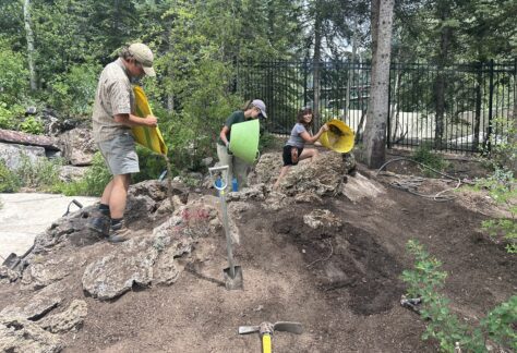 Staff and volunteers planting the rock garden at Betty Ford Alpine Gardens