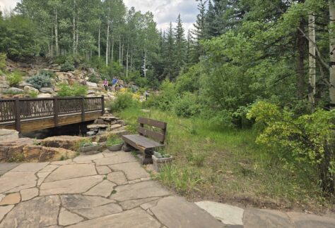 Current Meadow Site