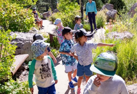 Children exploring the gardens at Betty Ford Alpine Gardens
