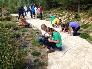 Scavenger hunt at Betty Ford Alpine Gardens