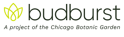 Budburst Logo, a Betty For Alpine Gardens Partner