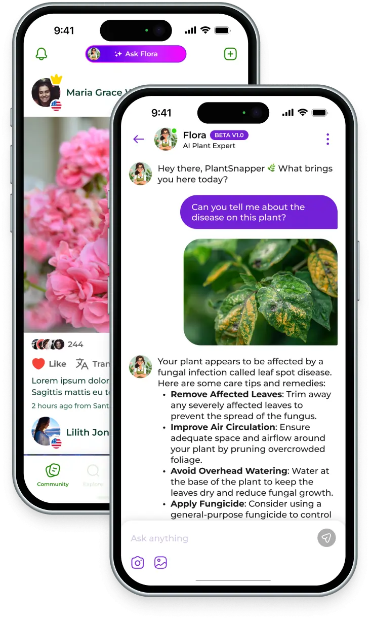 PlantSnap App Screens