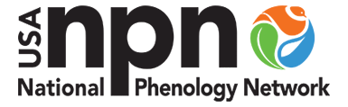 USA National Phenology Network Logo, a Betty For Alpine Gardens Partner