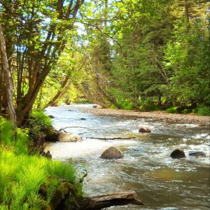 H2O = Life - Betty Ford Alpine Gardens